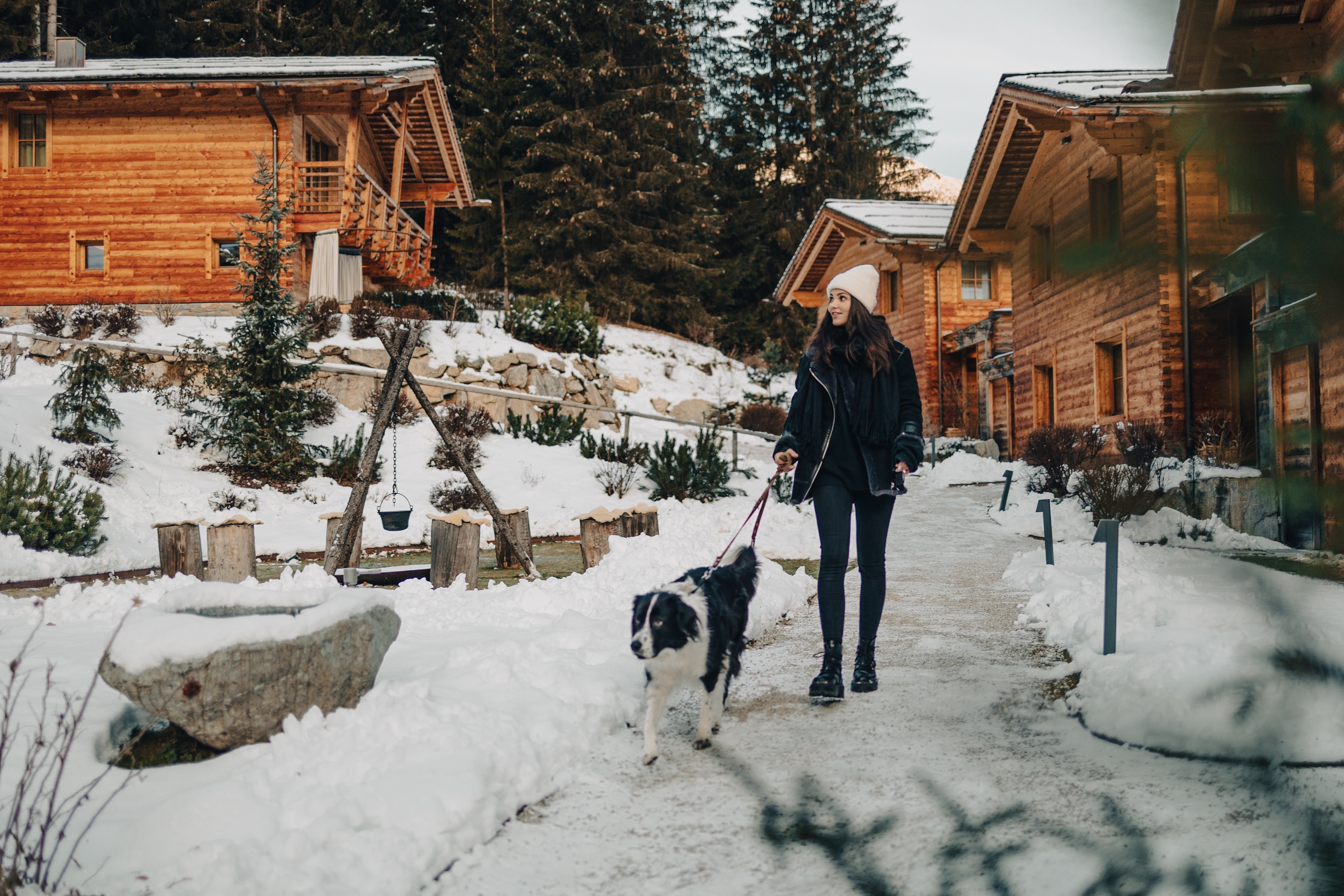 Hunde-Paradies 