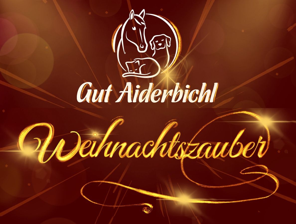 Gut Aiderbichl Weihnachtszauber - Die schönste tierische Weihnacht im deutschen Fernsehen (© Gut Aiderbichl Ballermann Ranch) Gut Aiderbichl Weihnachtszauber - Die schönste tierische Weihnacht im deutschen Fernsehen (© Gut Aiderbichl Ballermann Ranch)