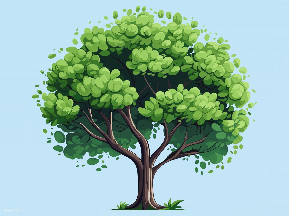 Weiterbildung im grünen Bereich! Unser Baumprojekt mit PLANT-MY-TREE® (© Mit Hilfe von Canva.com :-))
