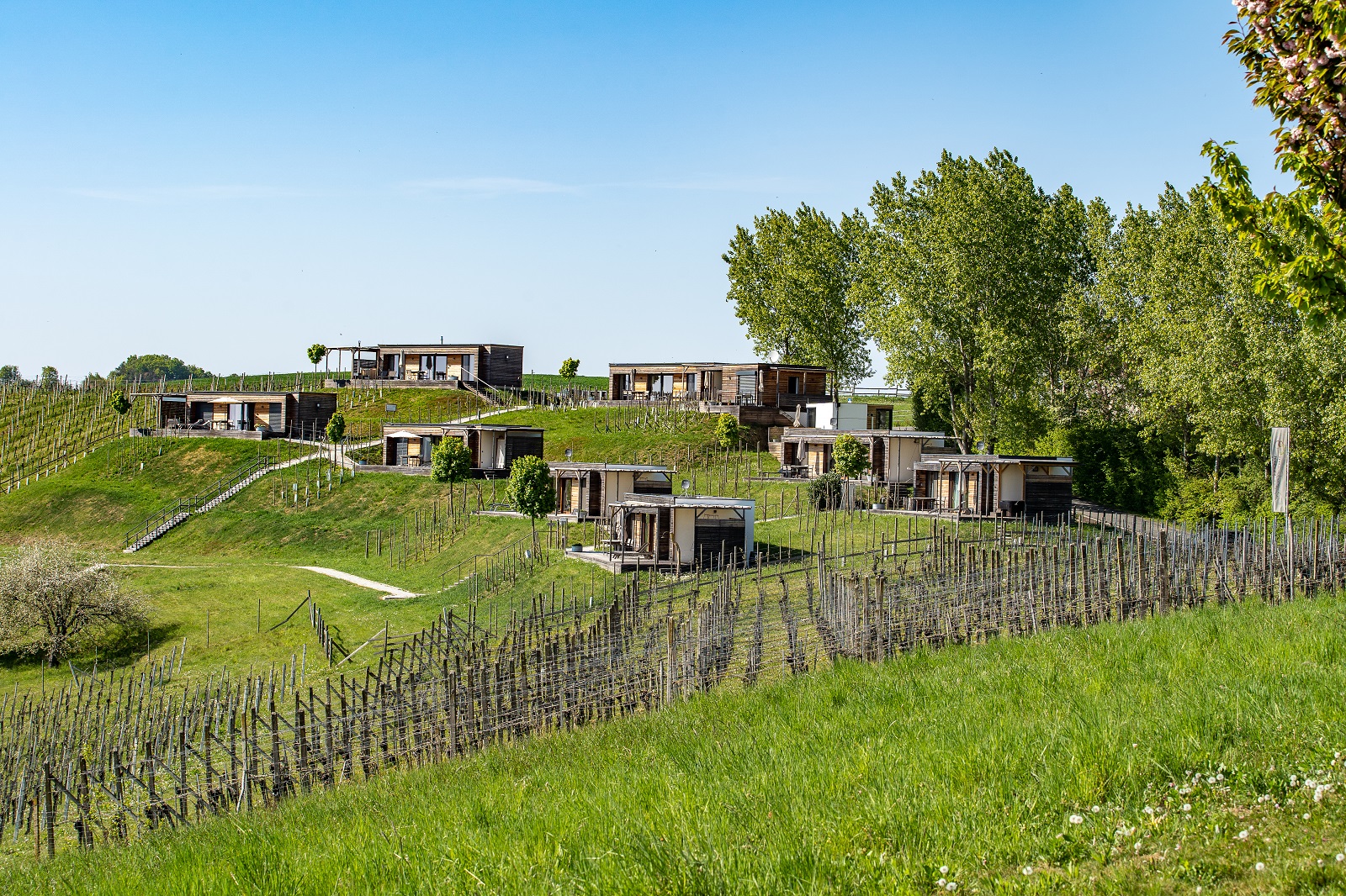 Wanderhotel Weingarten-Resort in der Steiermark