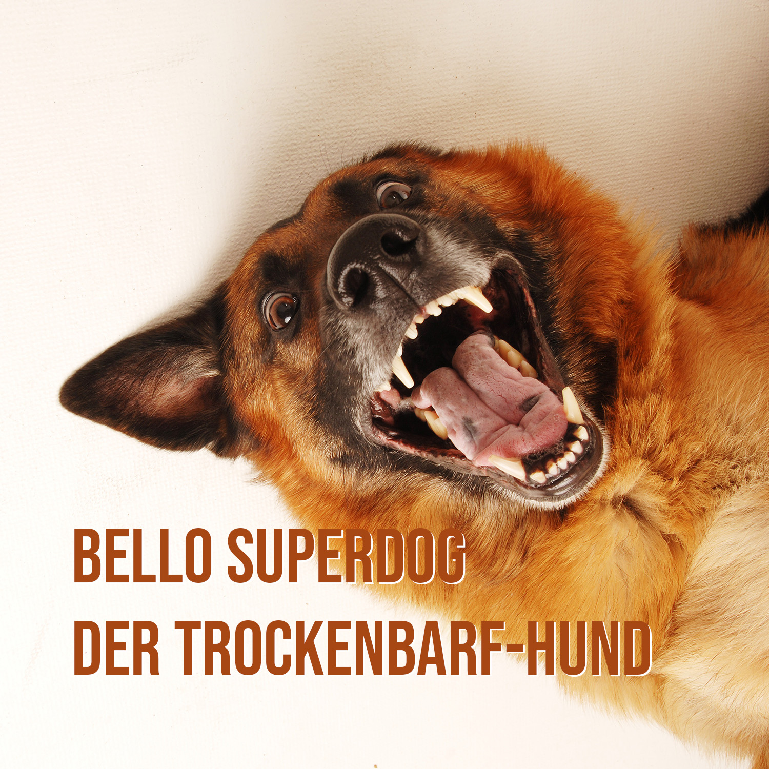 Bello SuperDog - der Trockenbarf Hund (Die Bildrechte liegen bei dem Verfasser der Mitteilung.) Bello SuperDog - der Trockenbarf Hund (Die Bildrechte liegen bei dem Verfasser der Mitteilung.)