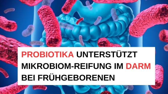 Probiotika unterstützt Mikrobiom-Reifung im Darm  / Redaktion bioresonanz-zukunft.de (Die Bildrechte liegen bei dem Verfasser der Mitteilung.)