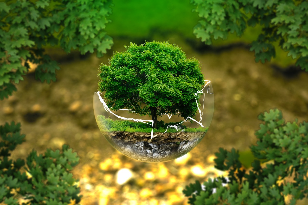 Wurzer Umwelt (Die Bildrechte liegen bei dem Verfasser der Mitteilung.) Wurzer Umwelt (Die Bildrechte liegen bei dem Verfasser der Mitteilung.)
