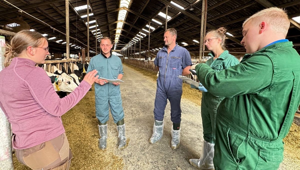 Tierärzte diskutieren im AVA-Kurs im Stall zu Futter, Fütterung und Tiergesundheit (© AVA)