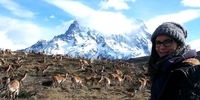 AUF IN DIE WELT: Schüleraustausch in Chile (Stiftung Völkerverständigung) AUF IN DIE WELT: Schüleraustausch in Chile (Stiftung Völkerverständigung)