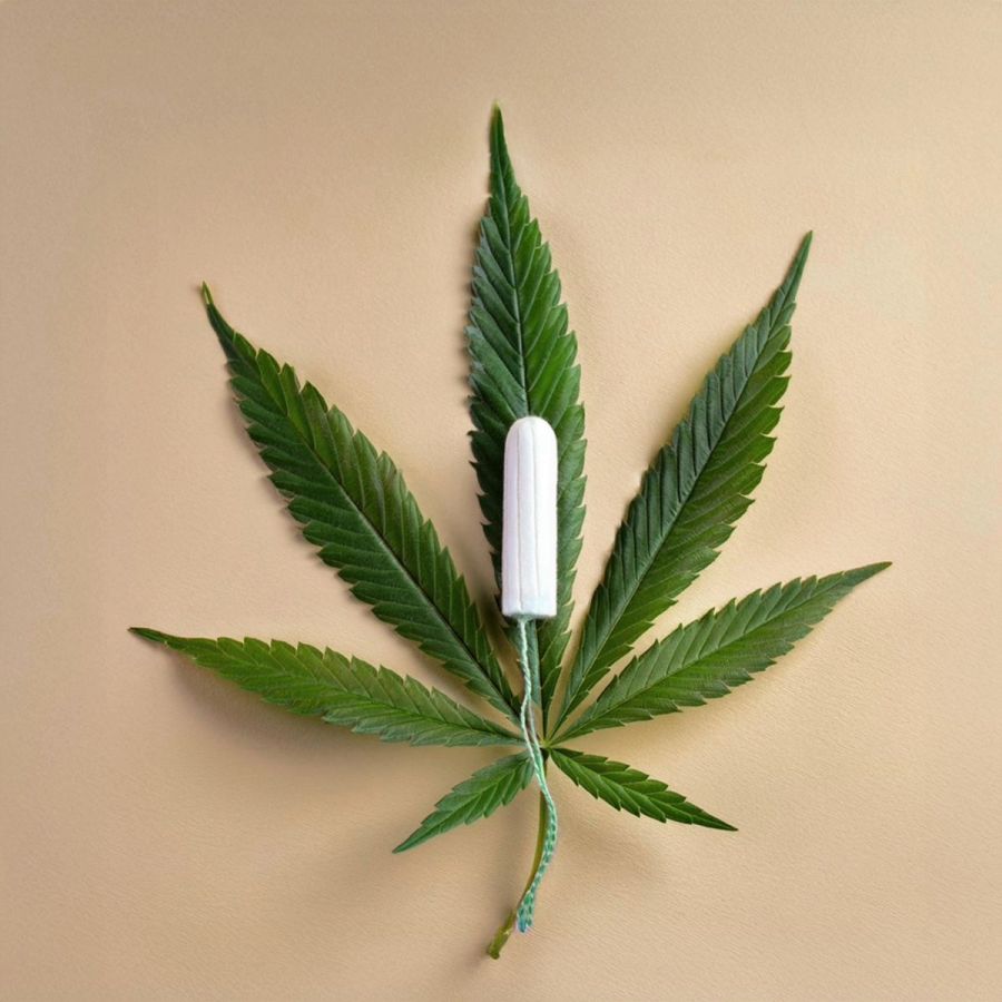 CBD-Tampons von MinaDays: endlich auch im deutschsprachigen Raum erhältlich (© Franz & Späth GbR, Lübeck) CBD-Tampons von MinaDays: endlich auch im deutschsprachigen Raum erhältlich (© Franz & Späth GbR, Lübeck)