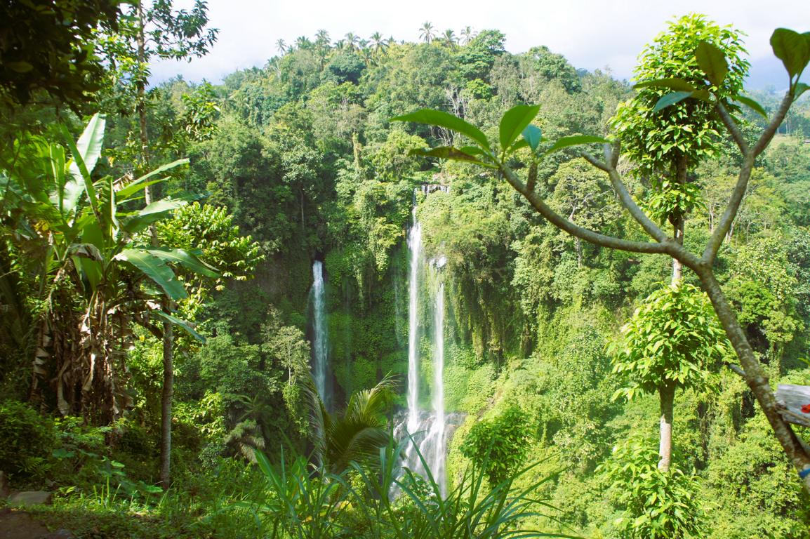 Sekumpul Wasserfall Aussichtspunkt (Die Bildrechte liegen bei dem Verfasser der Mitteilung.) Sekumpul Wasserfall Aussichtspunkt (Die Bildrechte liegen bei dem Verfasser der Mitteilung.)