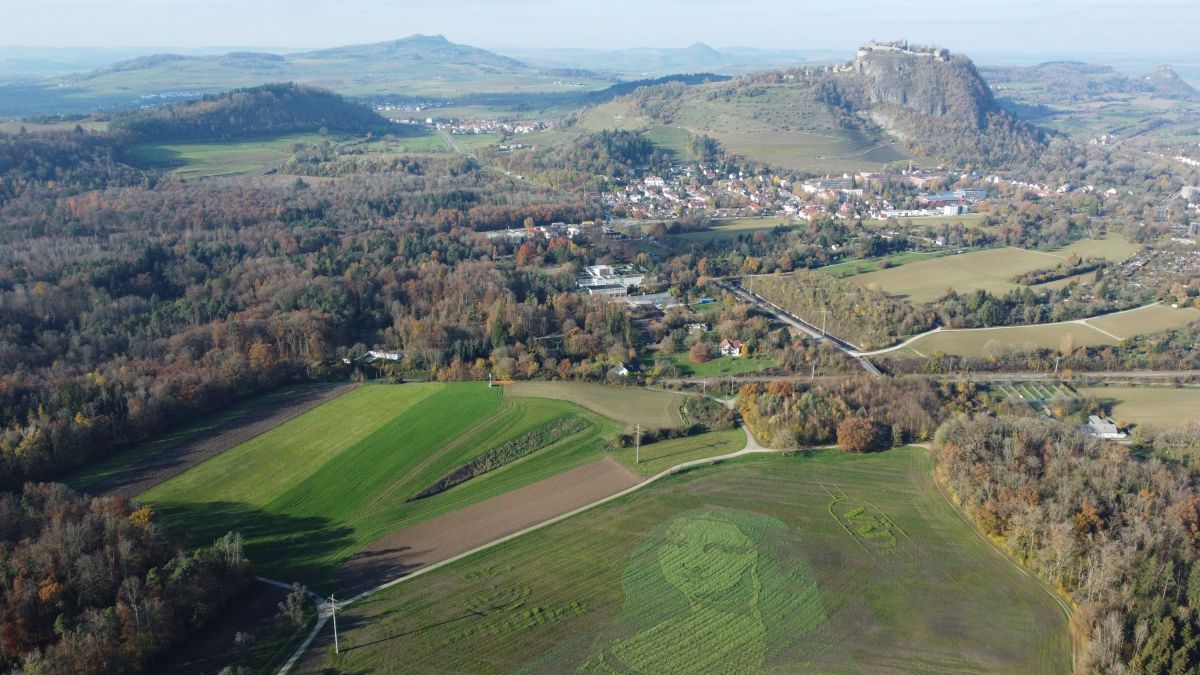 Das Porträt der Mona Lisa aus Millionen von Pflanzen auf einem Feld bei Singen am Hohentwiel (© ) Das Porträt der Mona Lisa aus Millionen von Pflanzen auf einem Feld bei Singen am Hohentwiel (© )
