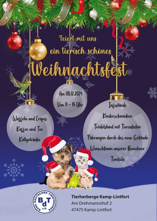 (Die Bildrechte liegen bei dem Verfasser der Mitteilung.) (Die Bildrechte liegen bei dem Verfasser der Mitteilung.)