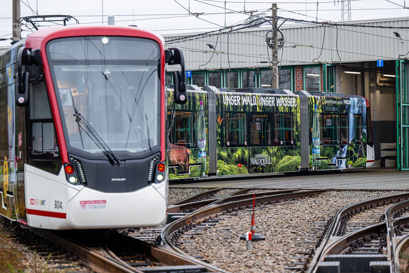 In Erfurt fährt ab sofort eine Thüringer Waldquell Straßenbahn In Erfurt fährt ab sofort eine Thüringer Waldquell Straßenbahn