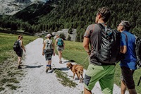 Wandergruppe (c) Wanderhotel Vischgerhof