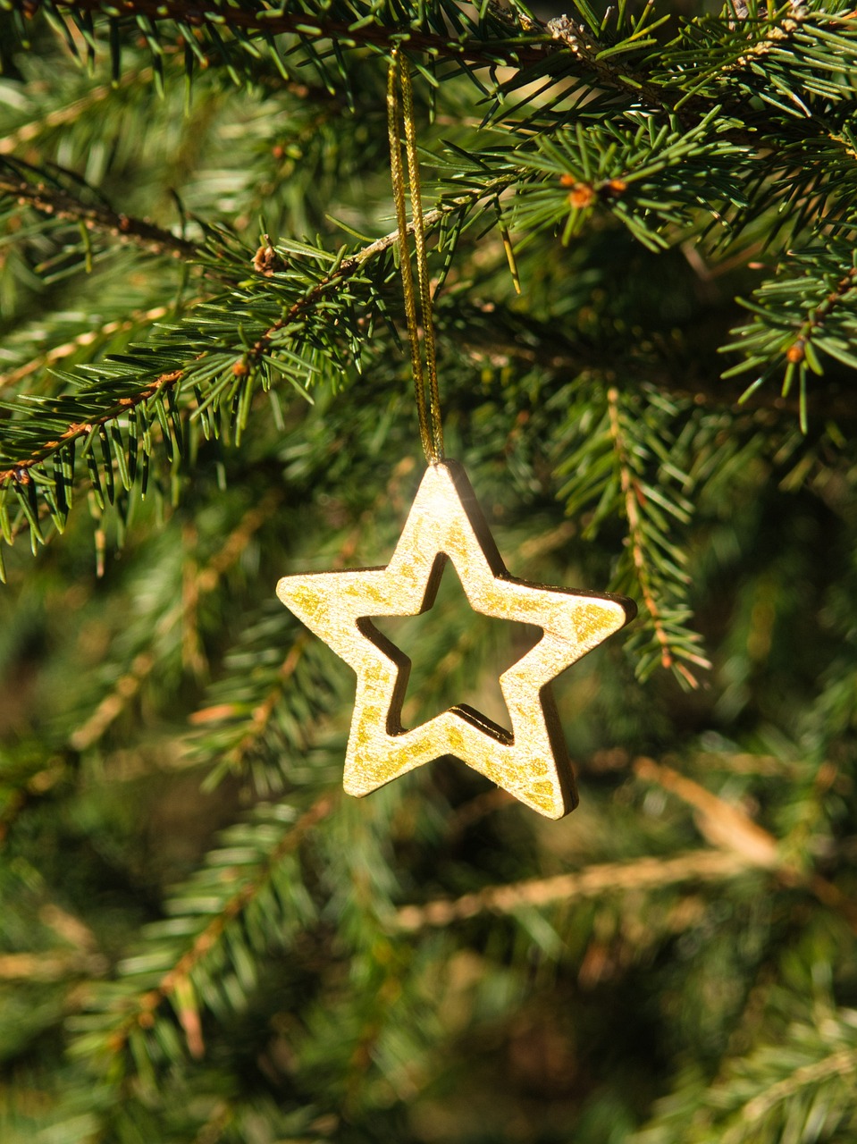 Weihnachten: Zeit des Innehaltens (Bildquelle: Pixabay, star-4736480_1280) Weihnachten: Zeit des Innehaltens (Bildquelle: Pixabay, star-4736480_1280)
