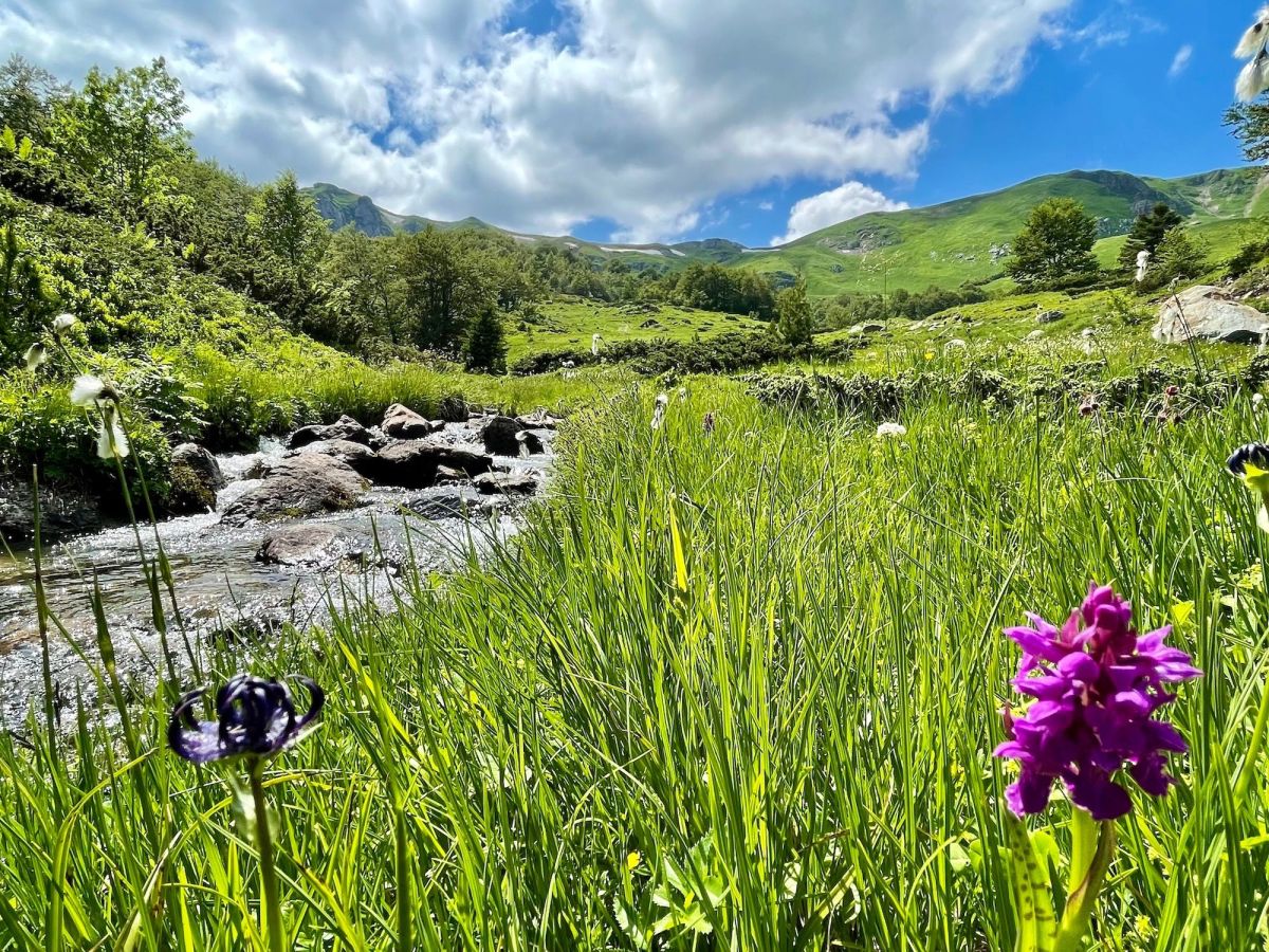 Montenegro Nationalpark Biogradska Gora (© Mediterrana Tours )