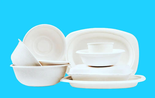 Bagasse Take away Verpackungen (Die Bildrechte liegen bei dem Verfasser der Mitteilung.) Bagasse Take away Verpackungen (Die Bildrechte liegen bei dem Verfasser der Mitteilung.)