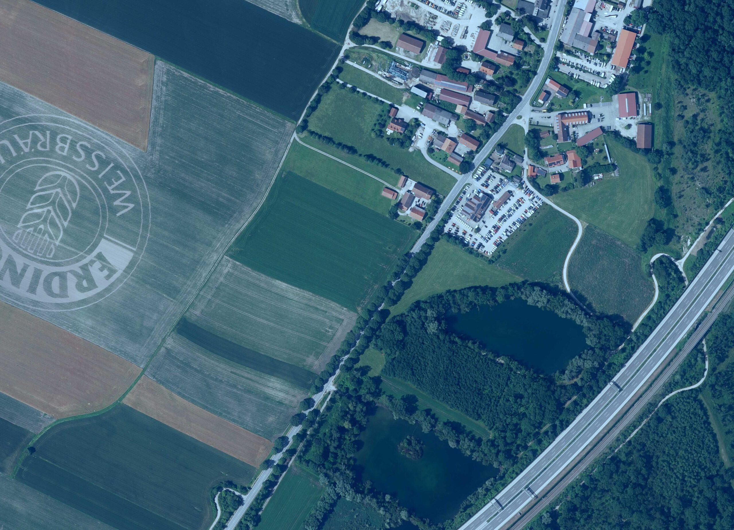 Anbau einer Geoglyphe mit Wildblumen am Münchner Flughafen Anbau einer Geoglyphe mit Wildblumen am Münchner Flughafen