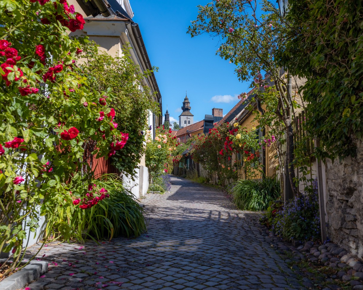 Frühling in der ehemaligen Hansestadt Visby (Bildquelle: Julien Pröpper)