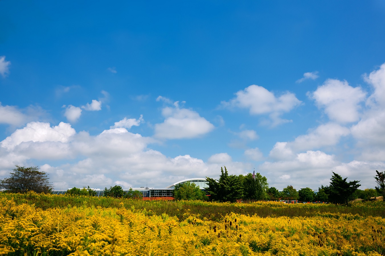 Firmensitz von MillerKnoll, Zeeland, Michigan, USA | Bild ©MillerKnoll Firmensitz von MillerKnoll, Zeeland, Michigan, USA | Bild ©MillerKnoll