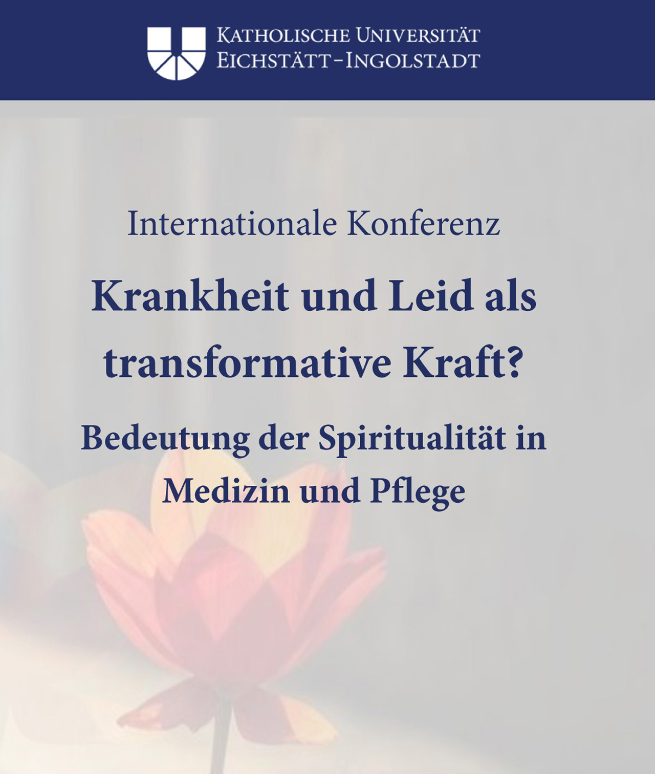 Spiritualität im Gesundheitswesen