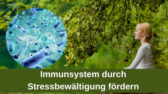 Immunsystem durch Stressbewältigung fördern / Redaktion bioresonanz-zukunft.de (Die Bildrechte liegen bei dem Verfasser der Mitteilung.) Immunsystem durch Stressbewältigung fördern / Redaktion bioresonanz-zukunft.de (Die Bildrechte liegen bei dem Verfasser der Mitteilung.)