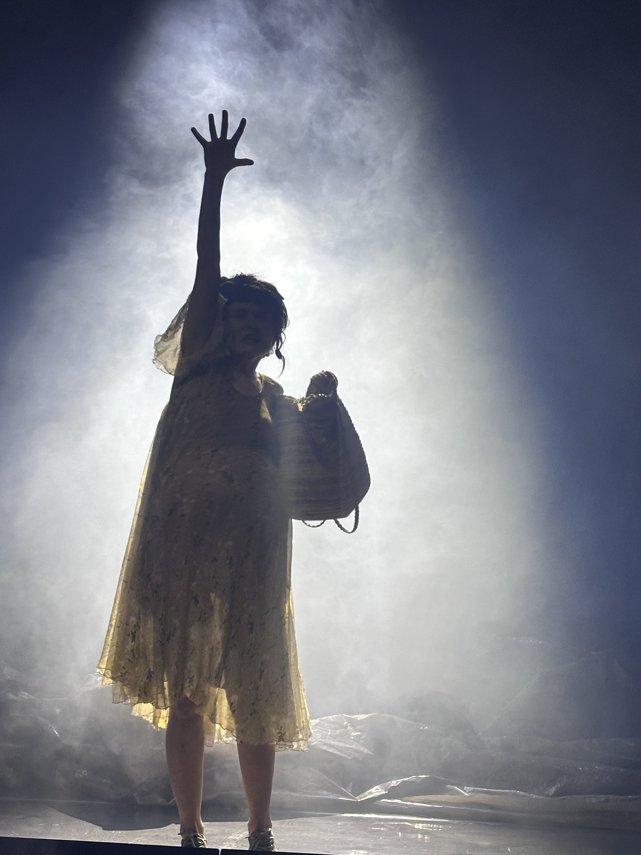 Deutsches und Ungarisches Staatstheater im rumänischen Temeswar - Showcase 2025 Deutsches und Ungarisches Staatstheater im rumänischen Temeswar - Showcase 2025