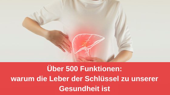 Über 500 Funktionen: Warum die Leber der Schlüssel zu unserer Gesundheit ist (Die Bildrechte liegen bei dem Verfasser der Mitteilung.) Über 500 Funktionen: Warum die Leber der Schlüssel zu unserer Gesundheit ist (Die Bildrechte liegen bei dem Verfasser der Mitteilung.)
