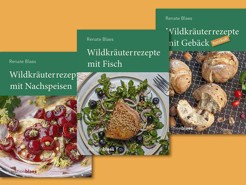 Kreative Wildkräuterrezepte (Die Bildrechte liegen bei dem Verfasser der Mitteilung.)