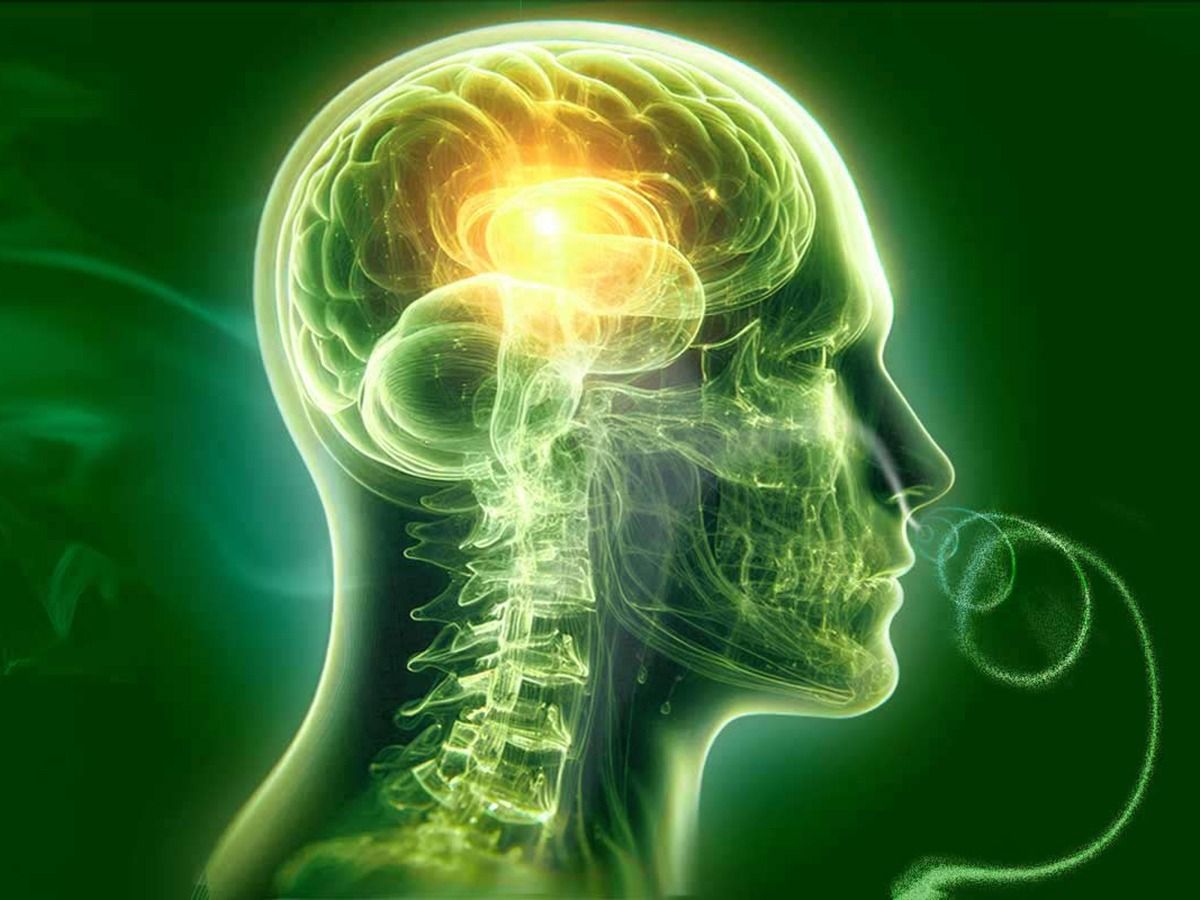 Energieversorgung mit der Spirovitaltherapie optimieren und Brain Fog auf natürliche Weise auflösen (© ) Energieversorgung mit der Spirovitaltherapie optimieren und Brain Fog auf natürliche Weise auflösen (© )