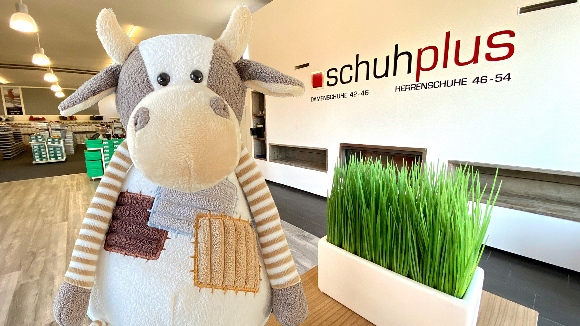 "Trude Kuh" beim Partner schuhplus, Europas größtes Versandhaus für Schuhe inÜbergrößen (Die Bildrechte liegen bei dem Verfasser der Mitteilung.) "Trude Kuh" beim Partner schuhplus, Europas größtes Versandhaus für Schuhe inÜbergrößen (Die Bildrechte liegen bei dem Verfasser der Mitteilung.)