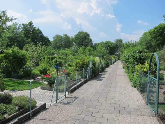 Voraussetzung für einen Schrebergarten ist die Mitgliedschaft in einem Kleingartenverein. (Bildquelle: ERGO Group)