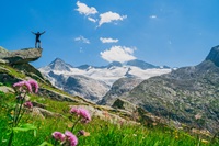 Wanderparadies (Wildkogel Arena Neukirchen & Bramberg)