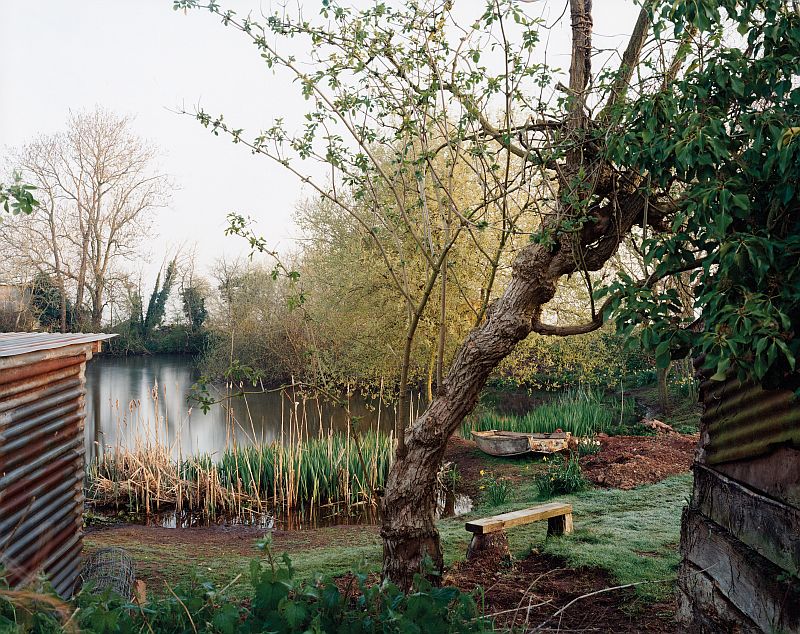 Jem Southam: The Pond at Upton Pyne, March 2000, From the portfolio“The Pond at Upton Pyne”(Bildquelle:©Jem Southam) Jem Southam: The Pond at Upton Pyne, March 2000, From the portfolio“The Pond at Upton Pyne”(Bildquelle:©Jem Southam)