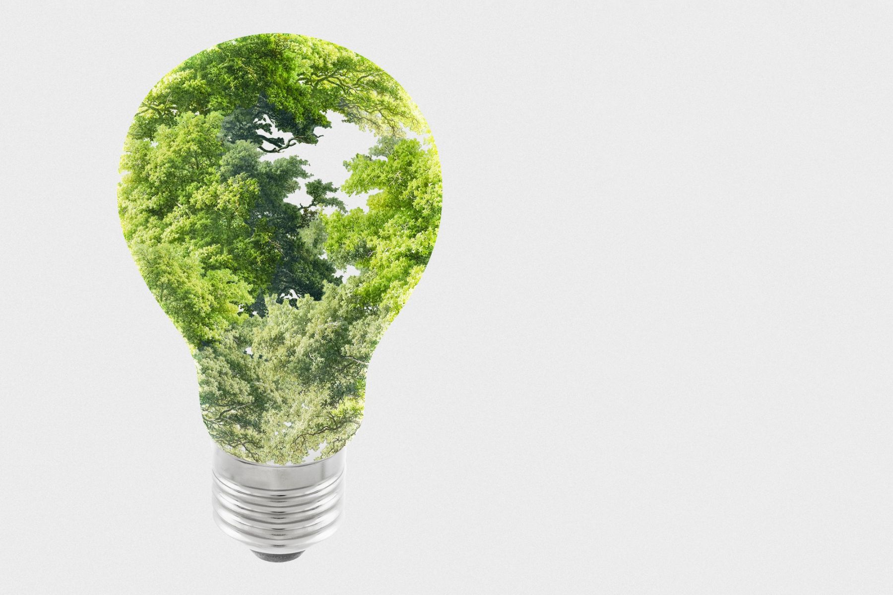 Wurzer Umwelt (Die Bildrechte liegen bei dem Verfasser der Mitteilung.)