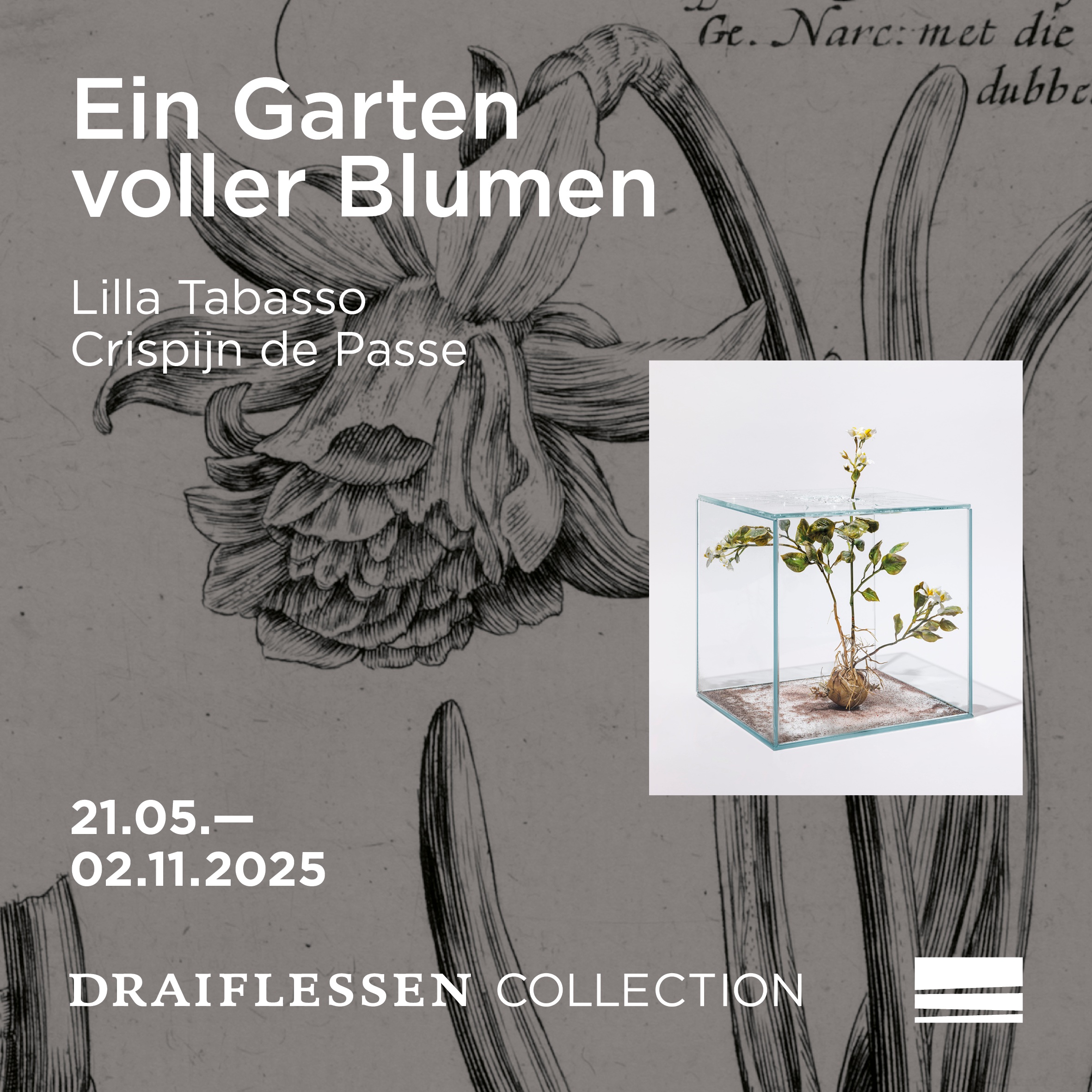 Ein Garten Voller Blumen, (c) Draiflessen Collection