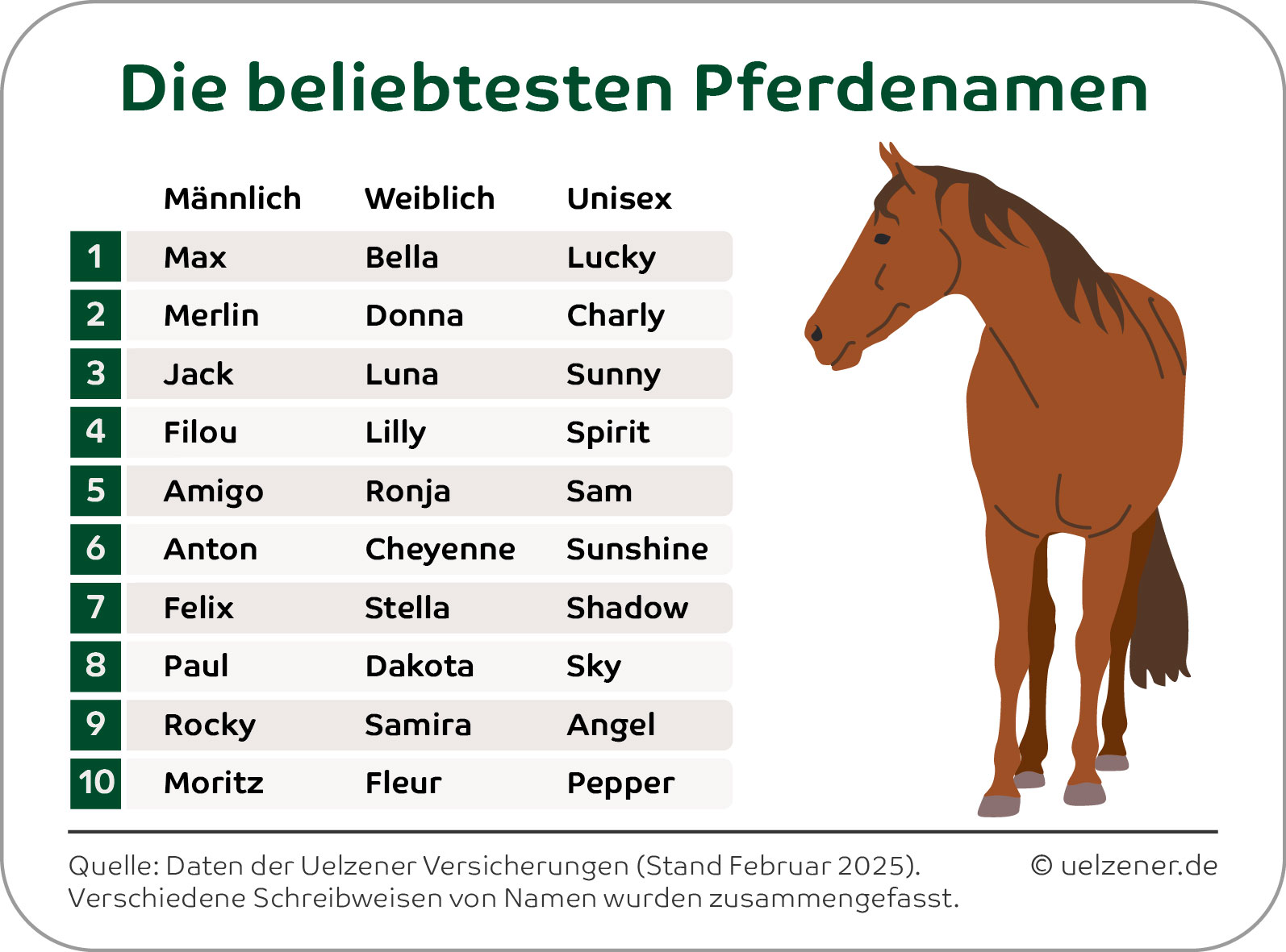 Deutschlands beliebteste Pferdenamen basierend auf über 280.000 Einträgen bei den Uelzener Versicherungen.