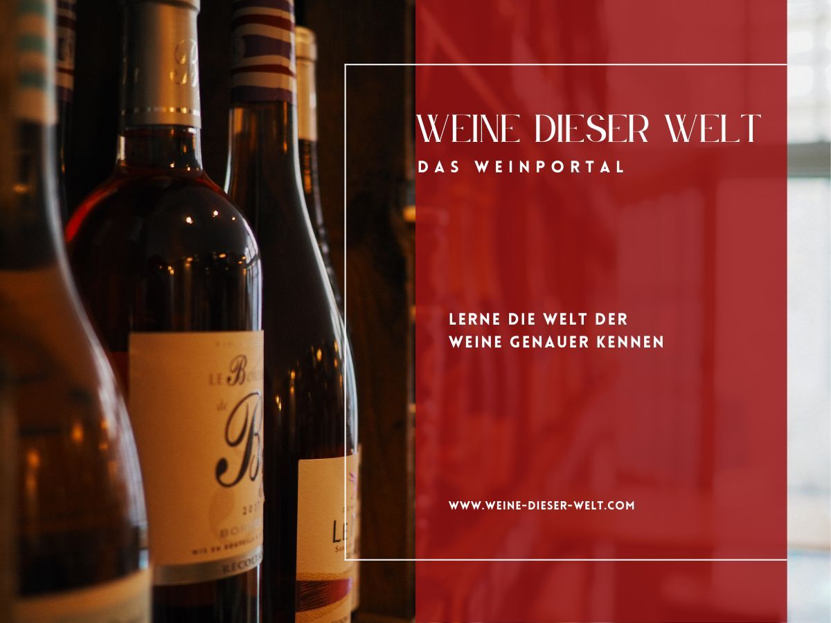 Weine Dieser Welt (© Maik Möhring)