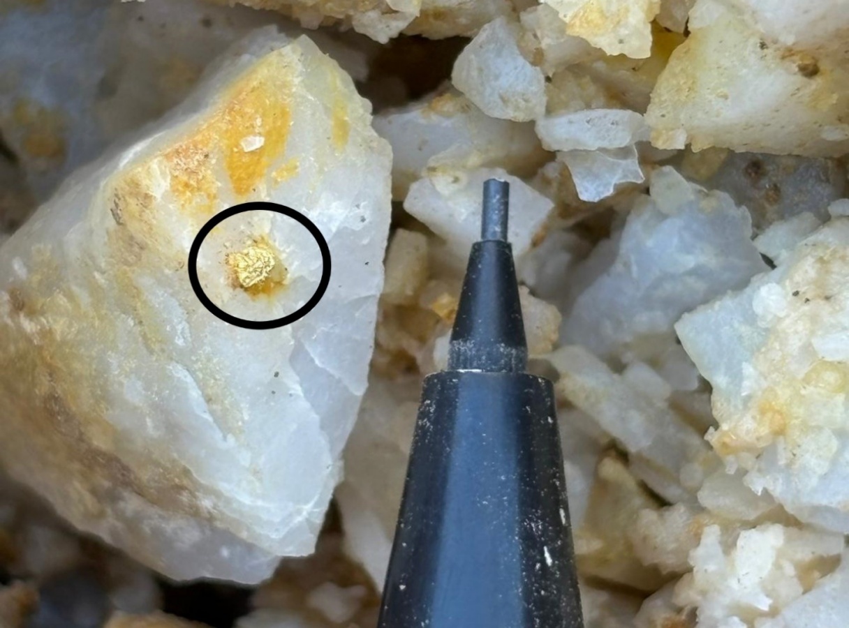 Sichtbares Gold in einem Bohrkern aus der Halo Zone; Foto: Golden Cariboo Resources