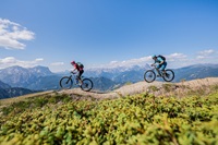 Mountainbike Downhill (c) Harald Wisthaler (Kronplatz Brand)
