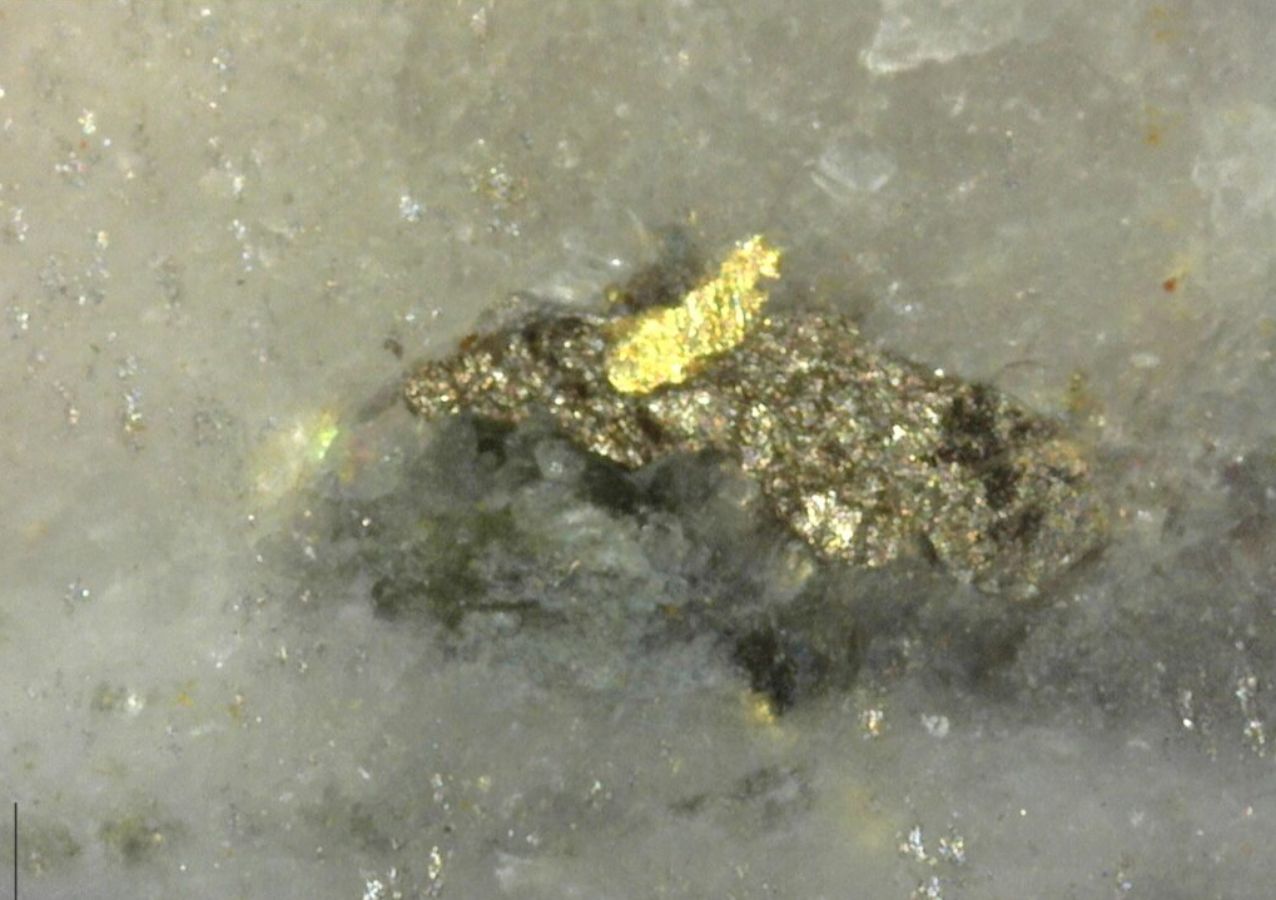 Sichtbares Gold in einem Bohrkernn vom RC Gold-Projekt; Sitka Gold Sichtbares Gold in einem Bohrkernn vom RC Gold-Projekt; Sitka Gold