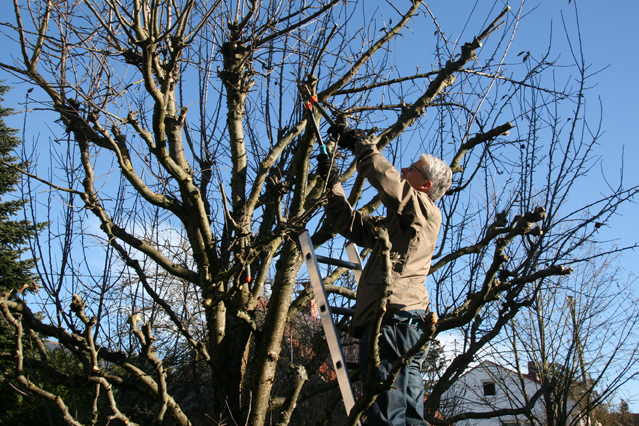 Gartenarbeit ist gesund und macht Spaß- es sollten aber einige Punkte beachtet werden. (Bildquelle: ERGO Group) Gartenarbeit ist gesund und macht Spaß- es sollten aber einige Punkte beachtet werden. (Bildquelle: ERGO Group)