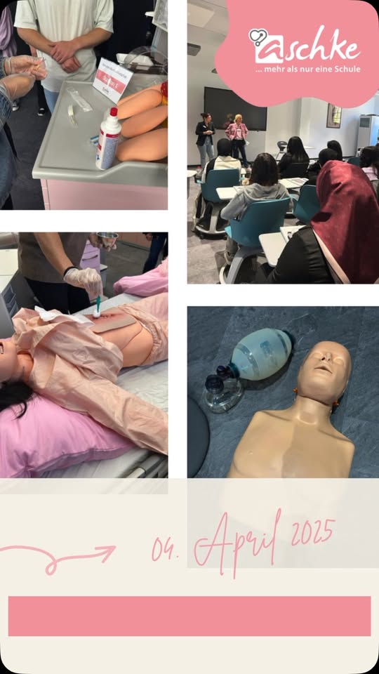 Berufsfelderkundungstag