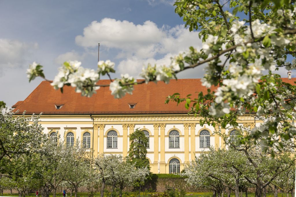 Apfelblüte im Hofgarten Schloss Dachau (Bildquelle: @ Fotograf Jörg Lutz) Apfelblüte im Hofgarten Schloss Dachau (Bildquelle: @ Fotograf Jörg Lutz)