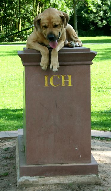 (Die Bildrechte liegen bei dem Verfasser der Mitteilung.)