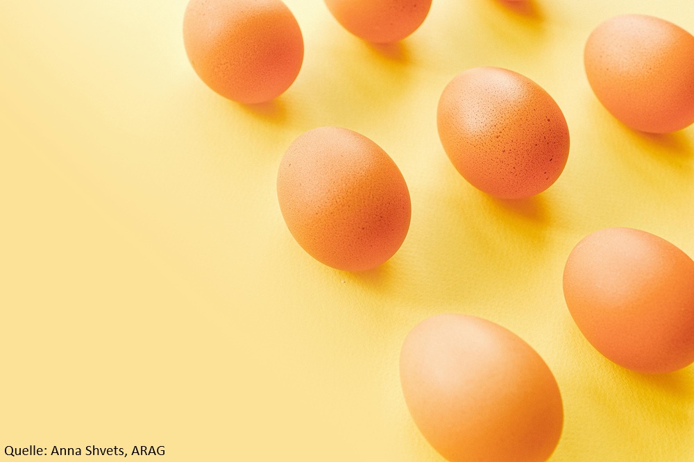 ARAG Experten mitüberraschenden Fakten und Urteilen zu Ostern (Die Bildrechte liegen bei dem Verfasser der Mitteilung.)