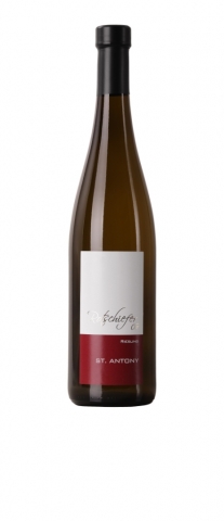 1.000 Frauen können sich nicht irren: Rotschiefer Riesling 2009 von St. Antony erhielt Bestnoten! 1.000 Frauen können sich nicht irren: Rotschiefer Riesling 2009 von St. Antony erhielt Bestnoten!