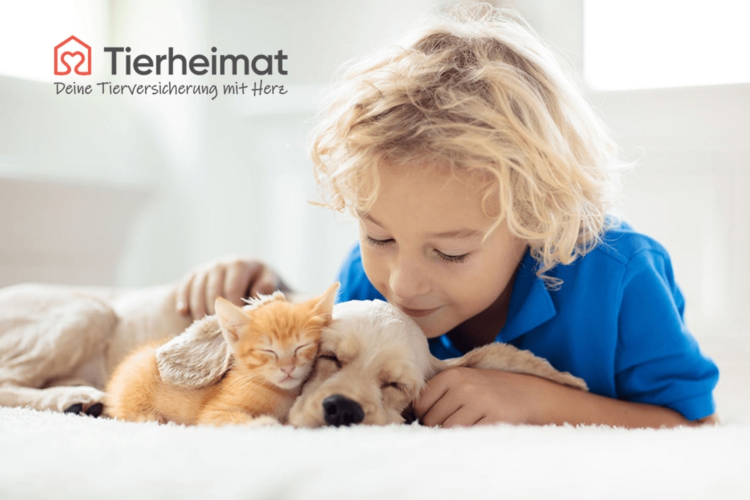 Tiervermittlungs-Plattform (Die Bildrechte liegen bei dem Verfasser der Mitteilung.) Tiervermittlungs-Plattform (Die Bildrechte liegen bei dem Verfasser der Mitteilung.)