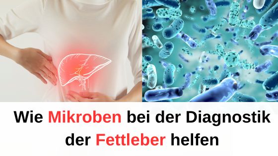 Wie Mikroben bei der Diagnostik der Fettleber helfen / Redaktion bioresonanz-zukunft.de (Die Bildrechte liegen bei dem Verfasser der Mitteilung.)
