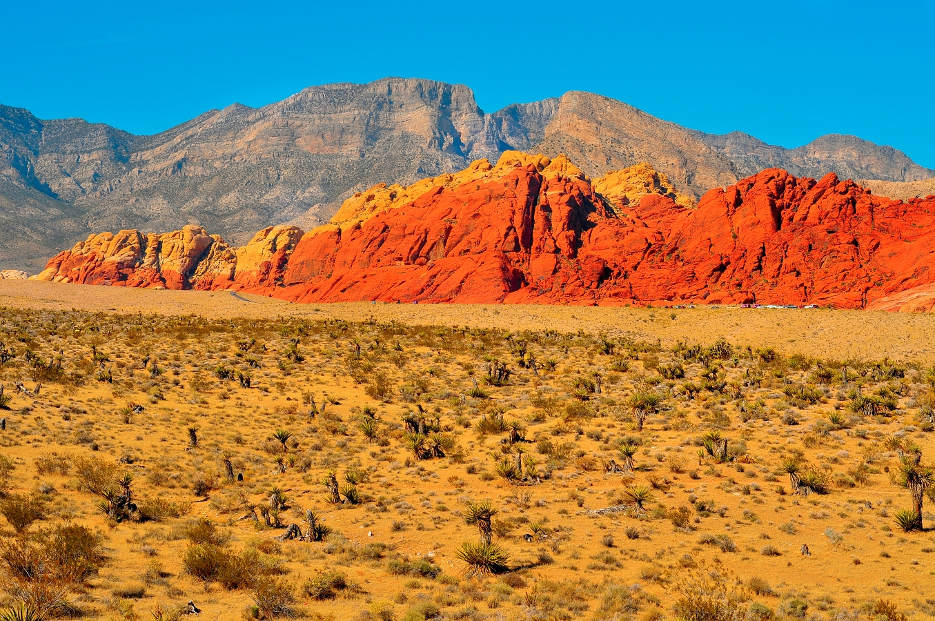 Landschaft in Nevada; Quelle: Depositphotos Landschaft in Nevada; Quelle: Depositphotos