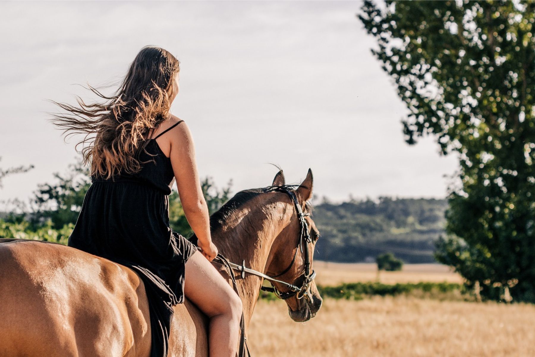 LIFE Jugendhilfe (Die Bildrechte liegen bei dem Verfasser der Mitteilung.) LIFE Jugendhilfe (Die Bildrechte liegen bei dem Verfasser der Mitteilung.)