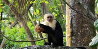 Auf in die Welt-Stipendium: Traumziel Costa Rica (Stiftung Völkerverständigung)