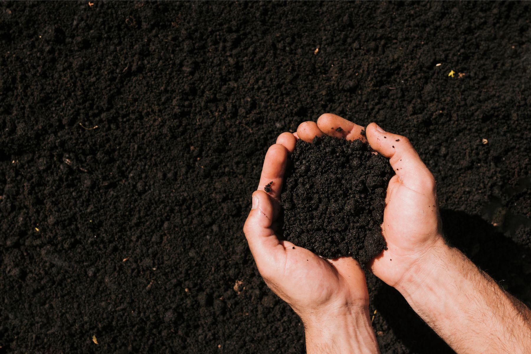 Wurzer Umwelt GmbH (Die Bildrechte liegen bei dem Verfasser der Mitteilung.) Wurzer Umwelt GmbH (Die Bildrechte liegen bei dem Verfasser der Mitteilung.)